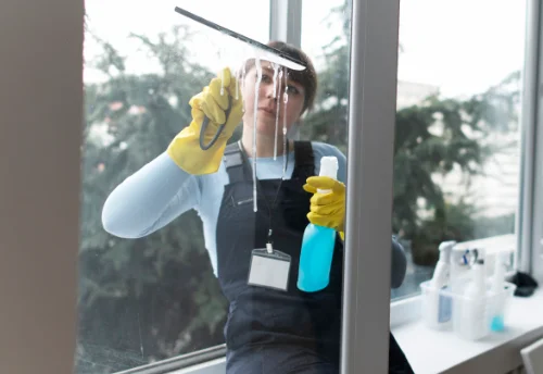 Nettoyage de vitres intérieures et extérieures à Saint-Vincent-la-Commanderie